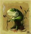   old frog