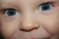   Alena812