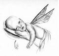   luccelino