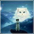   Kosh_a