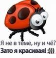   Tatyana_R