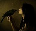   Black Bird