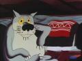   wolf84